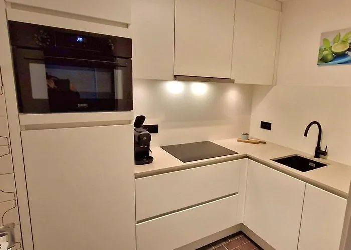 Modern Met Frontaal Zeezicht En Prive Parking アパート クノック・ヘイスト