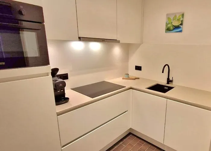 Modern Met Frontaal Zeezicht En Prive Parking クノック・ヘイスト